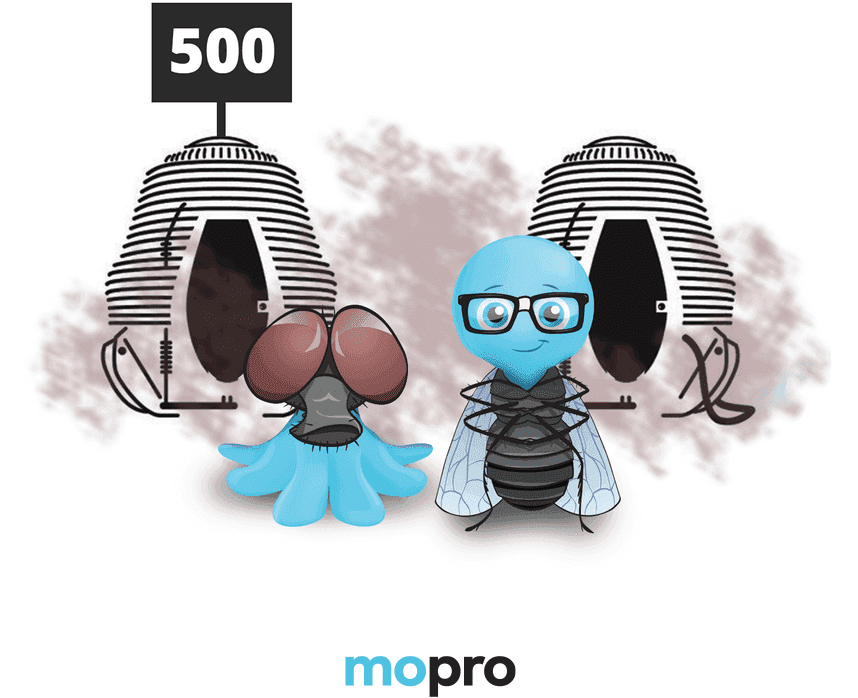 Internal Server Error